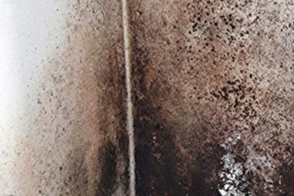Water Damage leading to Mold Growth - McKee Environmental